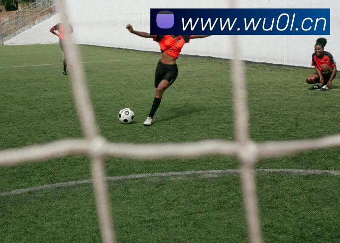 玩滚球的安全平台app官网平台生态图